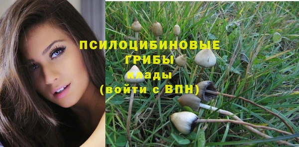 эйфоретик Абаза