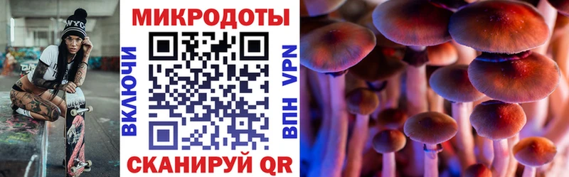 Псилоцибиновые грибы мицелий  купить   Лодейное Поле 