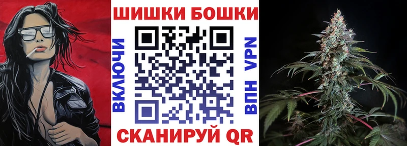 MEGA онион  Лодейное Поле  Канабис семена 